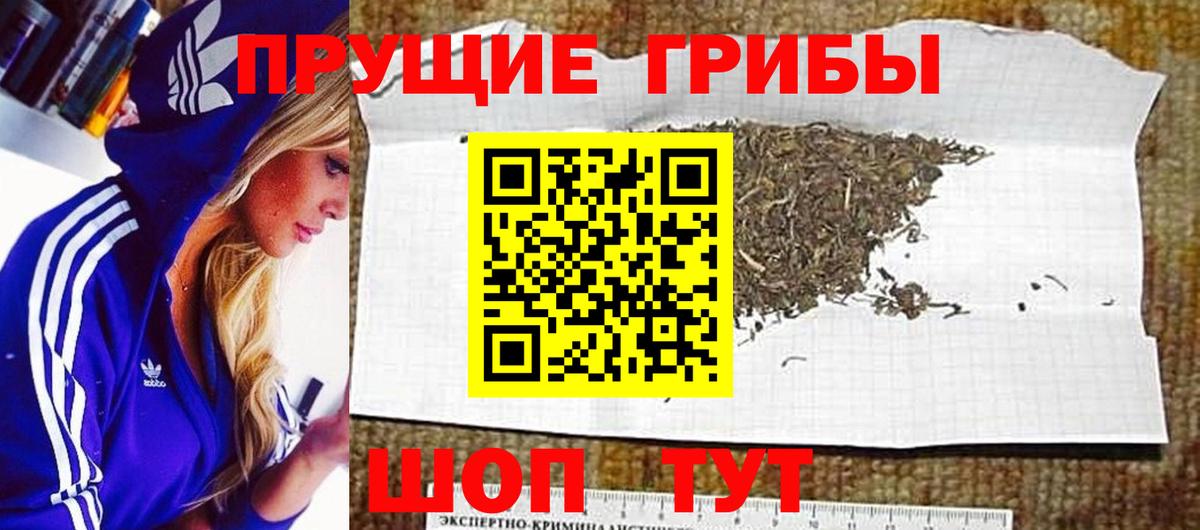 Березники  Галлюциногенные грибы прущие грибы  Вход с VPN  Псилоцибиновые грибы GOLDEN TEACHER 